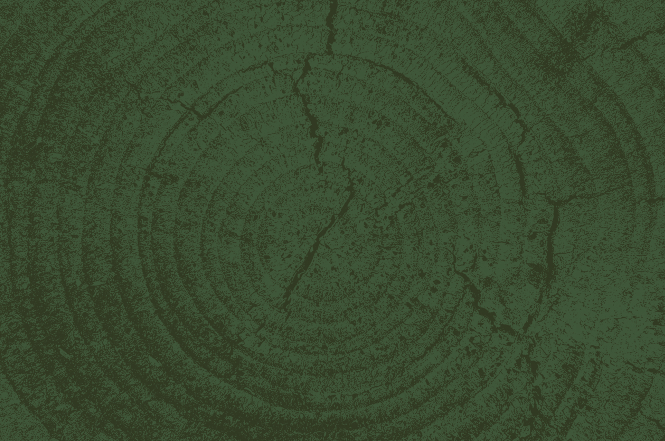 tree rings